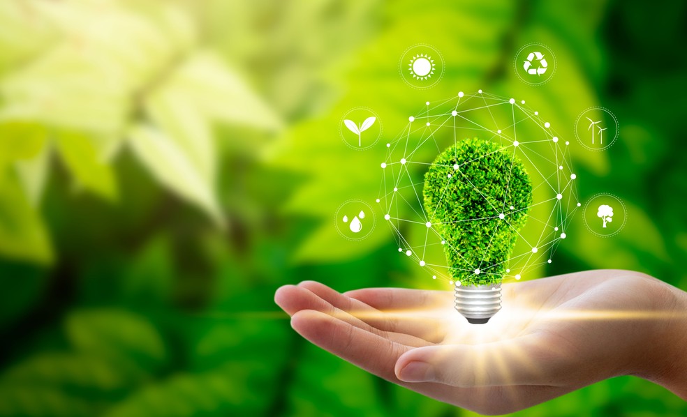 ONGs propõem nova meta climática para o Brasil com desmatamento zero até 2030