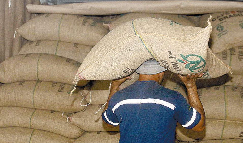 Exportações de café crescem 8,8%