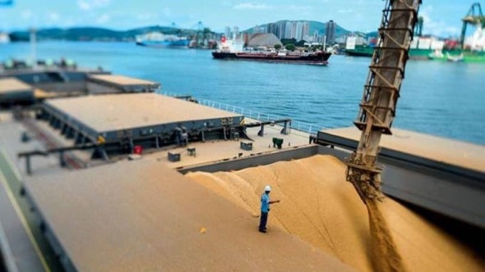 Exportações do agronegócio superaram US$ 100 bi em 2020, calcula Insper