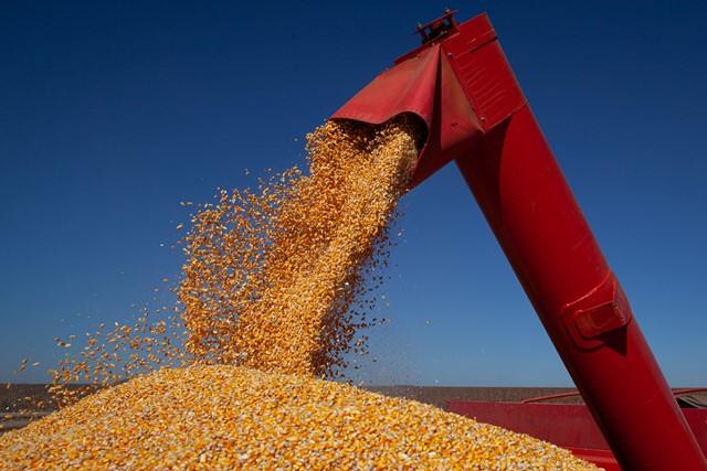 Valor da Produção Agropecuária de 2020 soma mais de R$ 871 bi e é o maior dos últimos 32 anos