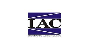 IAC terá R$ 34,8 milhões para pesquisas em citros, café e cana-de-açúcar