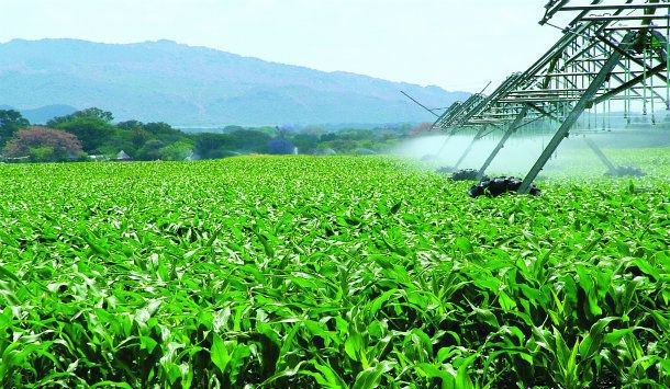 Brasil terá plano nacional de fertilizantes