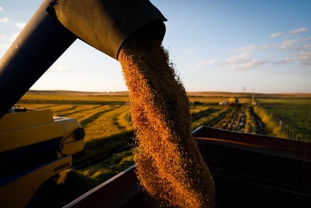 CNA prevê recorde no Valor Bruto da Produção Agropecuária em 2021