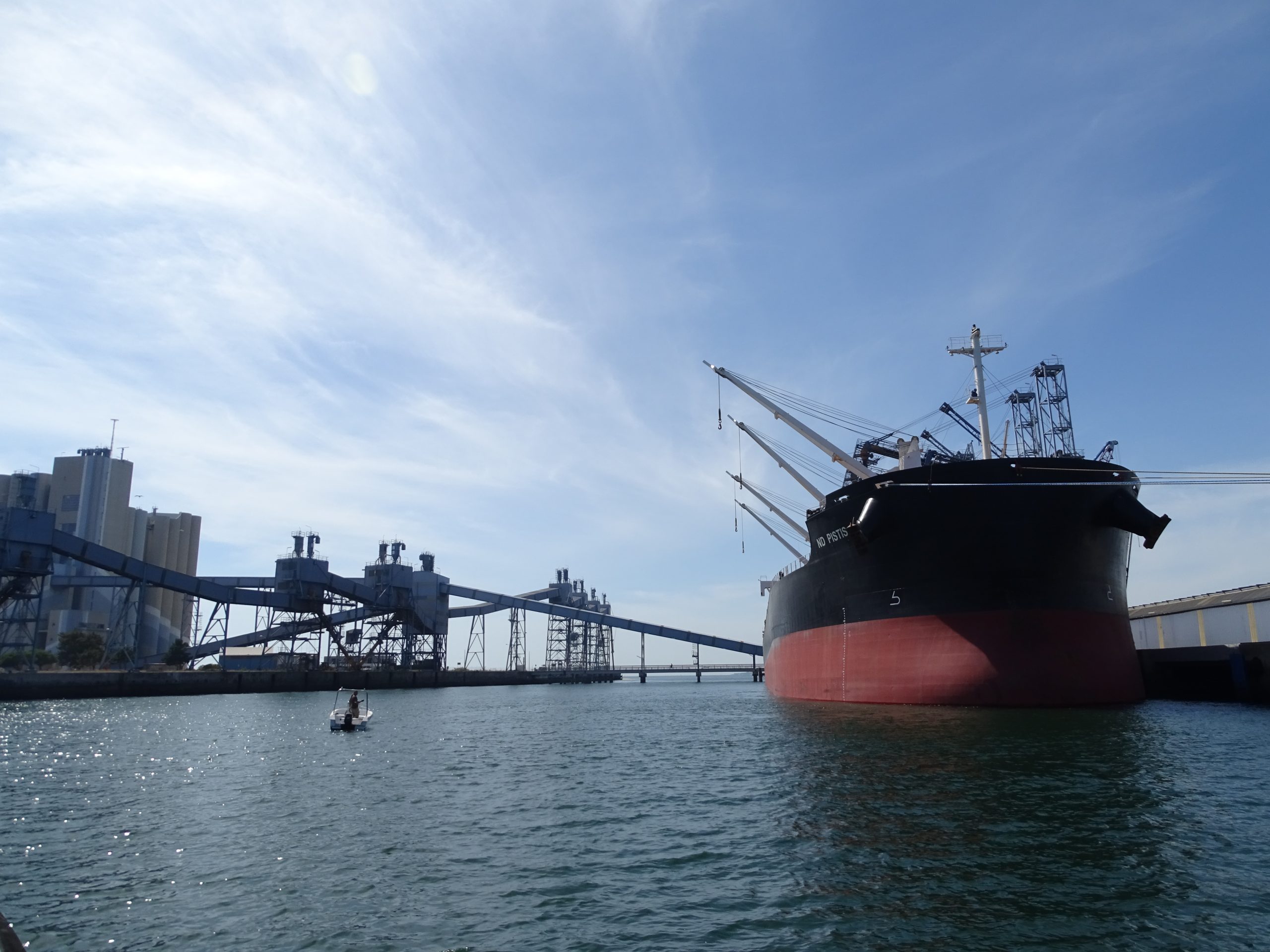 Porto de Lisboa lidera carga agroalimentar: Movimentação de soja atinge um milhão de toneladas