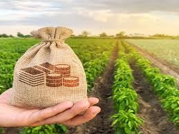 Brasil busca apoio a plano contra subsídios agrícolas