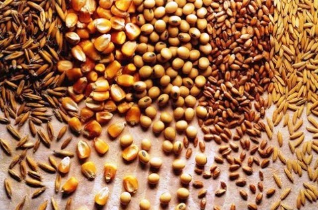 Agronegócio brasileiro conquista novas aberturas de mercado na Tailândia, Angola, Canadá e Austrália