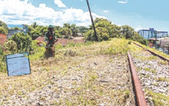 Itanhaém: com multa diária de R$20 mil, Rumo inicia manutenção da linha férrea
