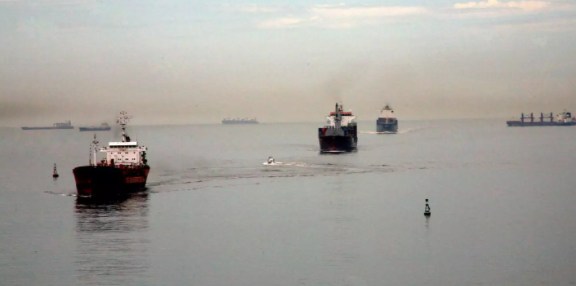 Porto é alvo de operação ambiental