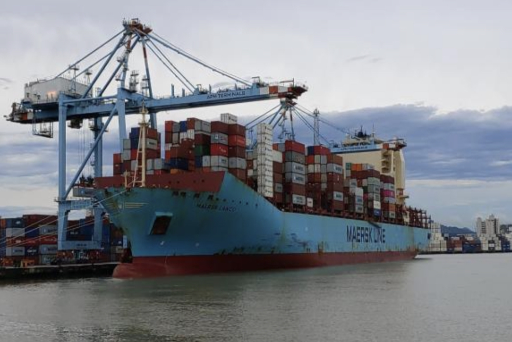 Primeiro bimestre de 2021 aponta crescimento de 42% na movimentação de contêineres com carga de importação no Porto de Itajaí