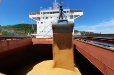 Safra de soja 2020-2021 começa a ser embarcada no Porto de Imbituba