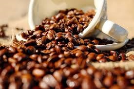 Fevereiro encerra com alta nas exportações de café