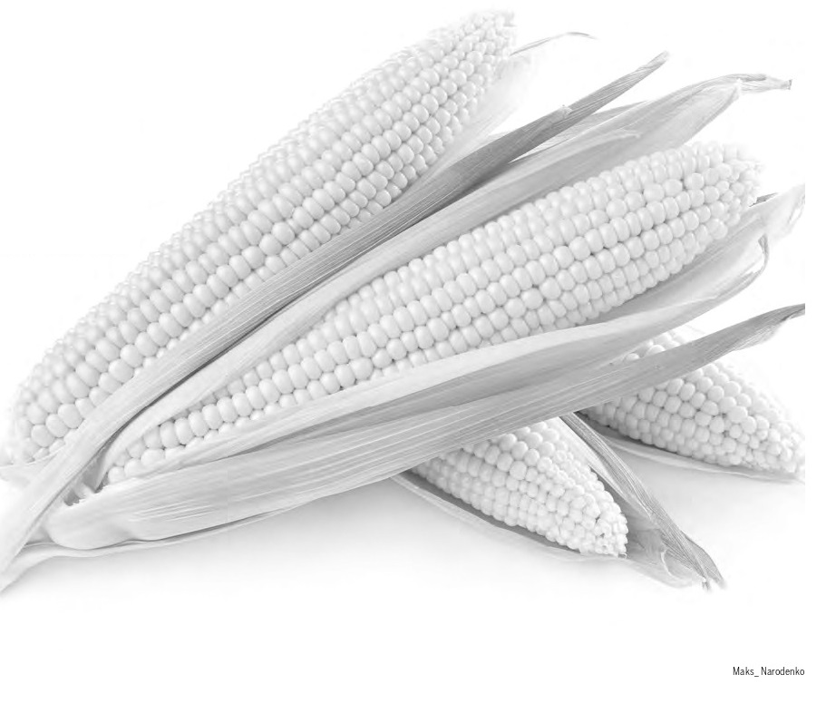 Inflação – Escassez de milho será o próximo vetor de alta no preço dos alimentos no Brasil