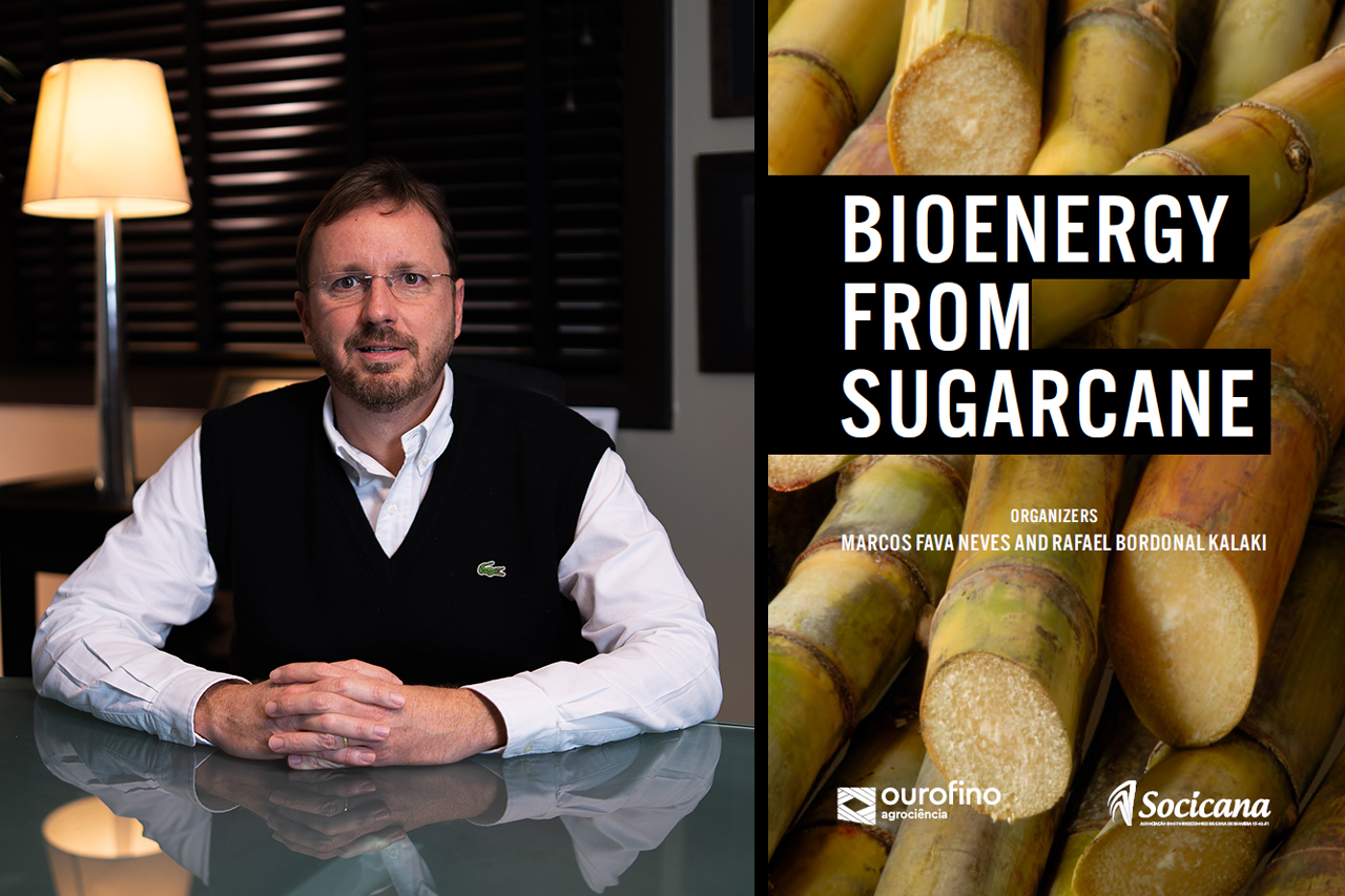 Bioenergy from Sugarcane: o potencial do setor sucroenergético brasileiro