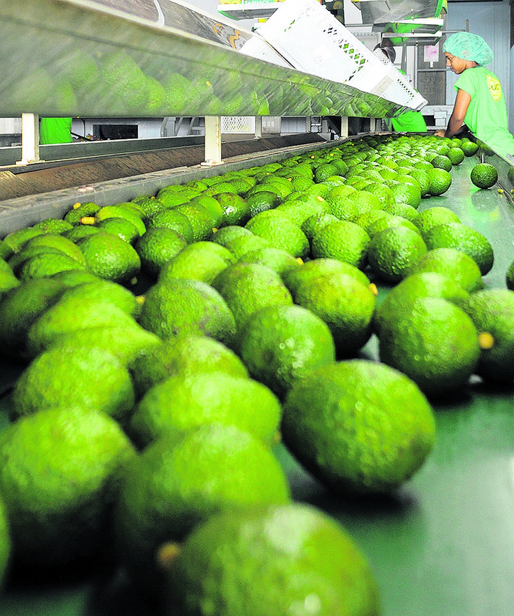 Piora da pandemia limita os embarques de frutas do país