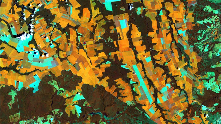 COFCO – Imagens de satélite desempenham um papel importante na construção de uma cadeia de abastecimento sustentável de soja