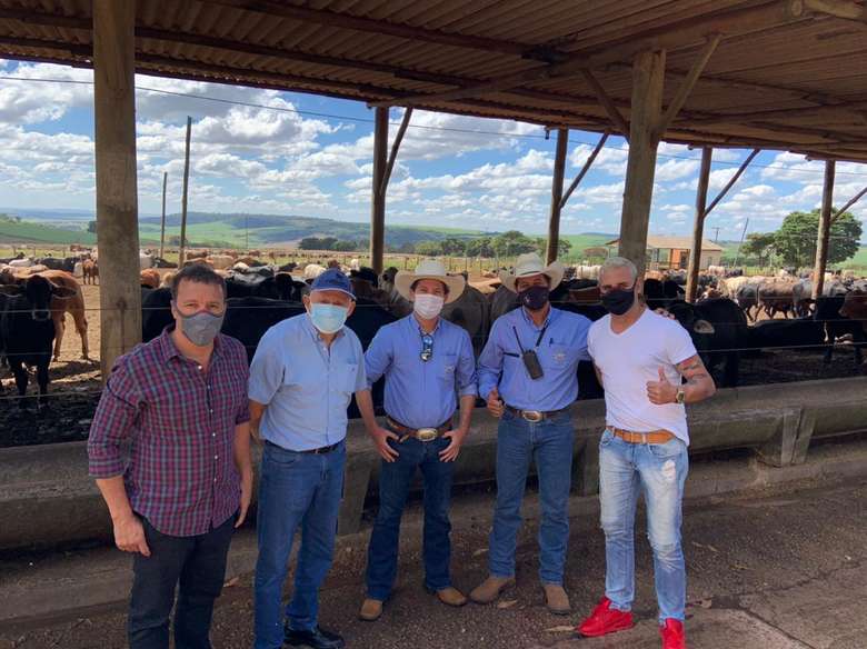São Carlos vai exportar 5 mil cabeças de gado para Arábia Saudita