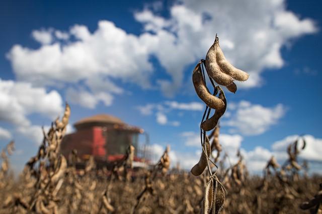 Valor Bruto da Produção Agropecuária deve atingir R$ 1,192 trilhão em 2021