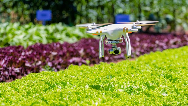 SENAI e Embrapa lançam edital de inovação para agricultura