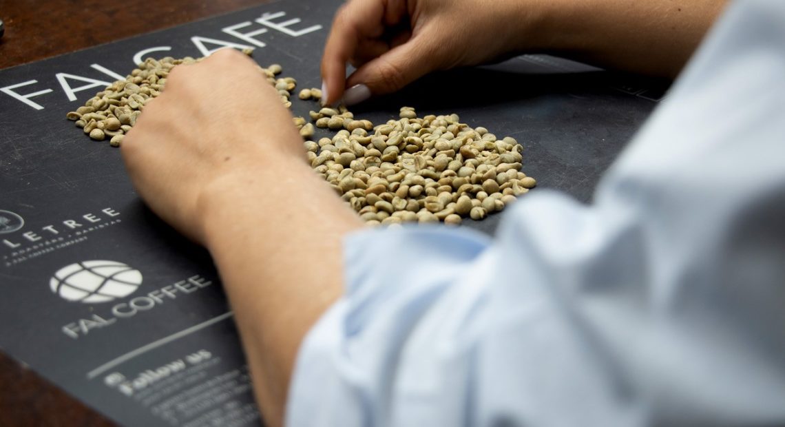 Sustentabilidade pode garantir alta na exportação de café