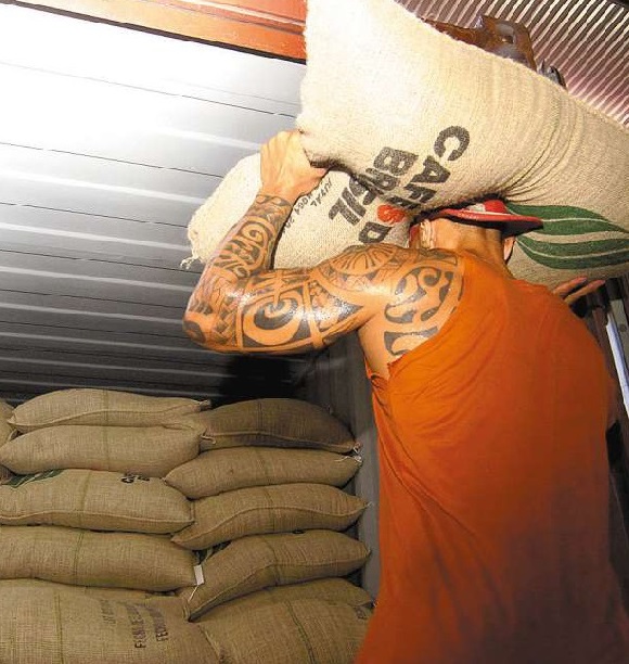 Exportações de café em Santos aumentam 3,45%