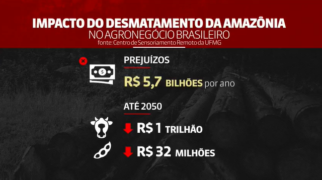 Agronegócio brasileiro pode perder até R$ 5,7 bilhões por ano com desmatamento na Amazônia, diz estudo