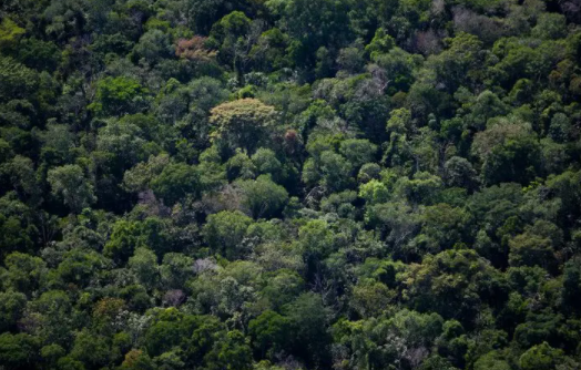 Emissão de títulos atrelados a sustentabilidade dispara no mundo e bate recorde