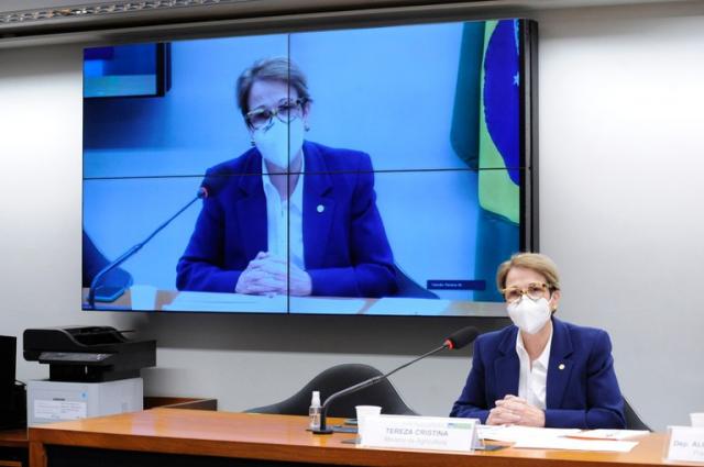 Ministra da Agricultura fala sobre prioridades para o próximo Plano Safra em audiência na Câmara