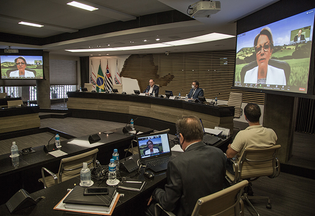 Plano Safra 2021/2022: Ministra do MAPA apresenta estratégias e expectativas ao COSAG