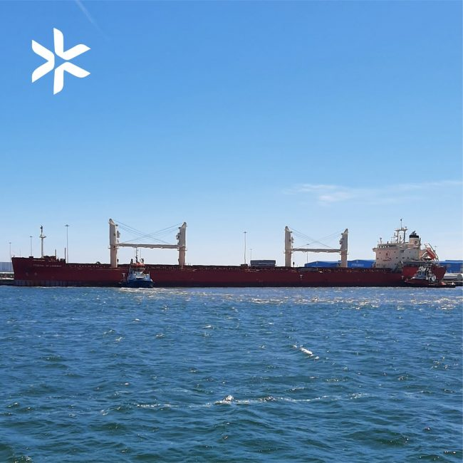 Porto de Aveiro volta a receber navio com 200 metros