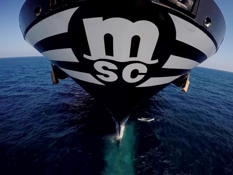 A MSC marca recorde ao comprar 60 navios porta-contêineres usados em apenas dez meses