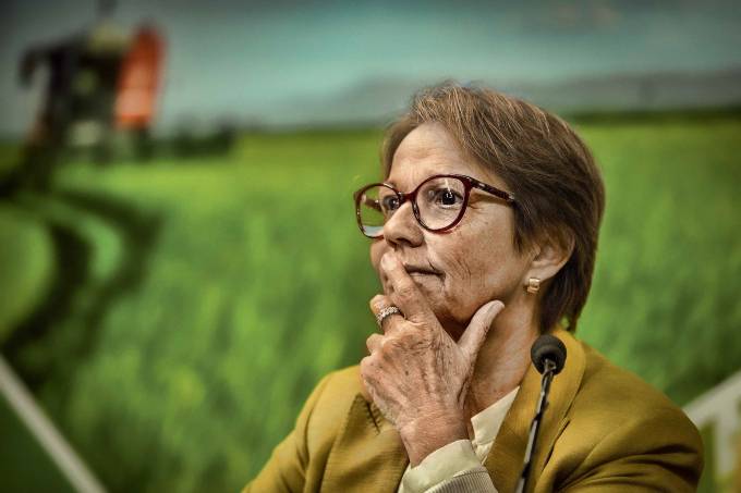 Ministra da Agricultura vê boom de preços de commodities até 2022