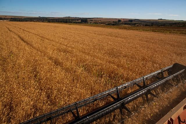 Valor da Produção Agropecuária de 2021 é estimado em R$ 1,099 trilhão