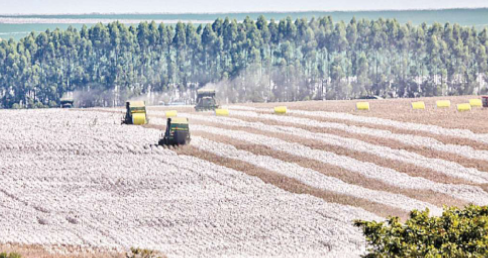 Agro amplia exportação em 20%