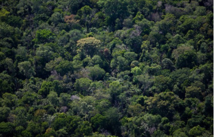 Empresas brasileiras captam mais de US$ 6 bi em títulos ESG