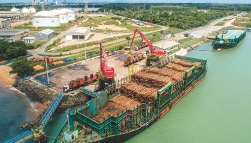 Norsul anuncia operação em estradas e ferrovias