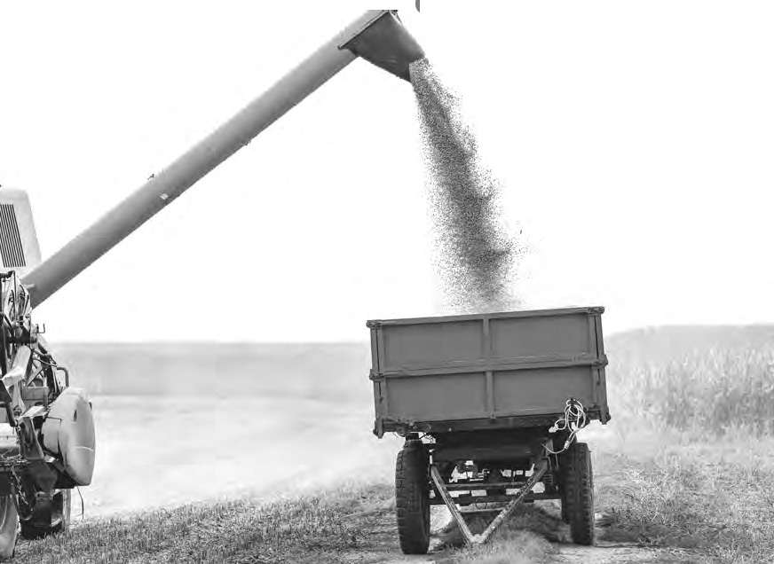 Agro fatura R$ 70 bilhões com exportação em junho, enquanto preço dos alimentos dispara