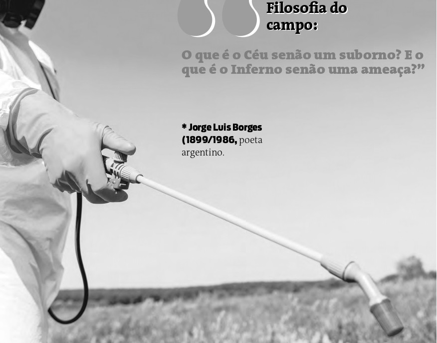 Agro usa tanto glifosato nas lavouras que já falta veneno no Brasil e preço dispara 300%