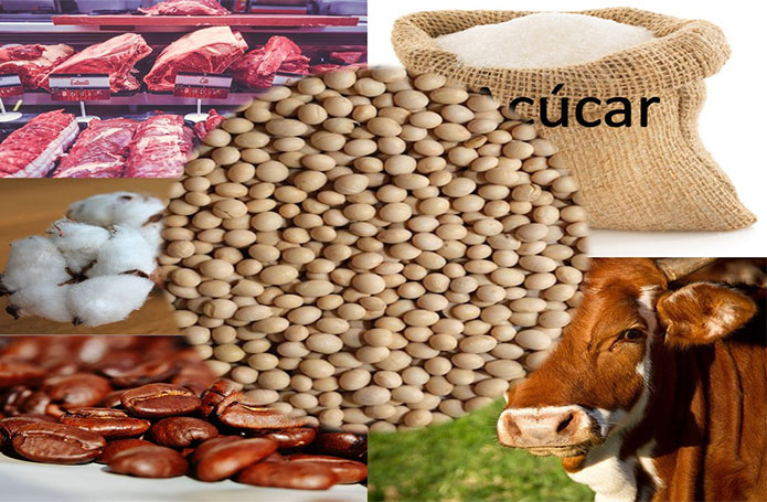 Exportações do agronegócio totalizam US$ 10,1 bilhões no melhor mês de setembro da história