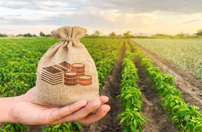 Valor Bruto da Produção Agropecuária de 2021 está estimado em R$ 1,10 trilhão e soja e milho são destaques