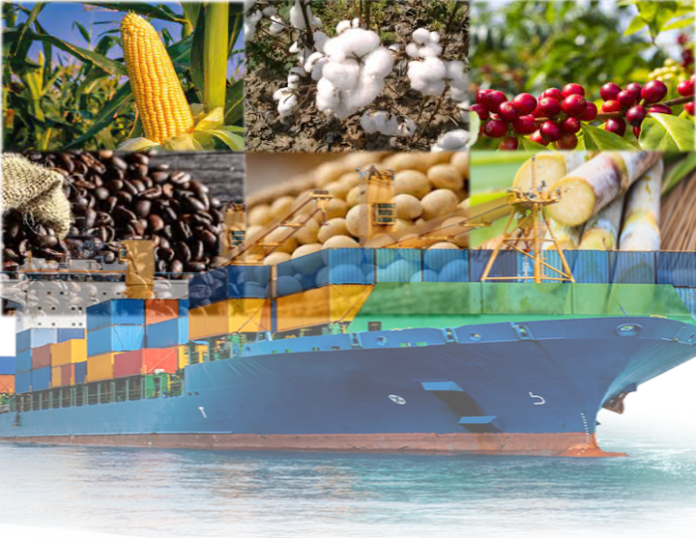 China respondeu por 32,4% das exportações totais do agronegócio brasileiro em setembro, segundo dados da CNA