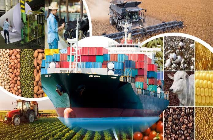 Agronegócio brasileiro conquista espaços e se consolida como maior exportador mundial de alimentos halal