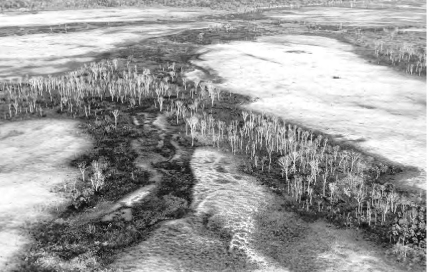 Mudanças climáticas: COP 26 deverá viabilizar repasse do US$ 100 bi/ano a países como o Brasil
