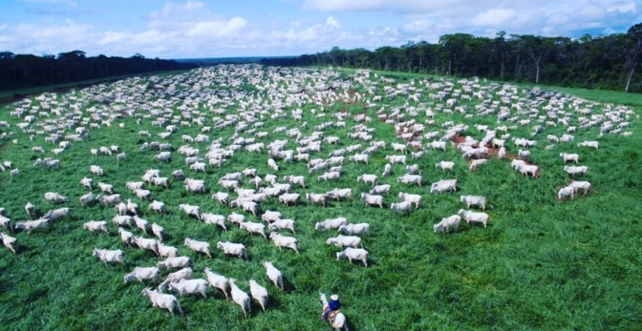 Entenda os desafios do agro para conter o aquecimento global