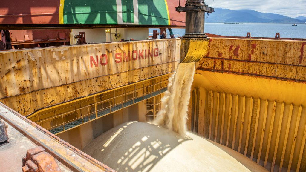 China aumenta embarques de soja brasileira após queda de preço