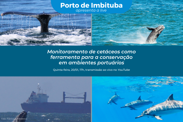 Porto de Imbituba reúne especialistas em live sobre monitoramento de cetáceos em ambientes portuários