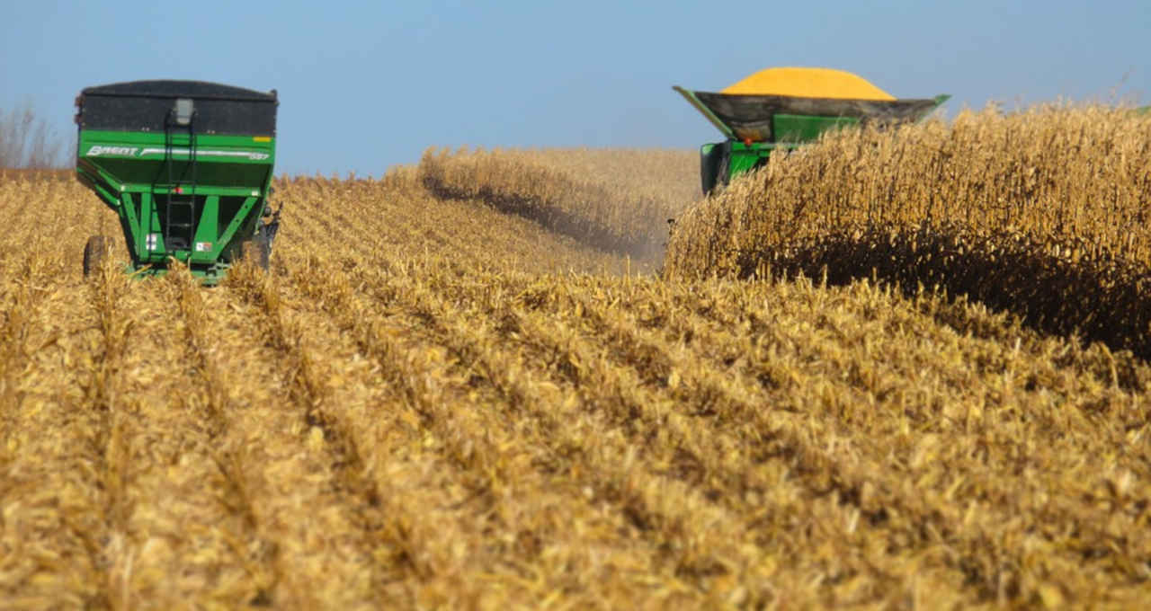 Bunge anuncia aquisição de 33% da revendedora de produtos agrícolas Sinagro