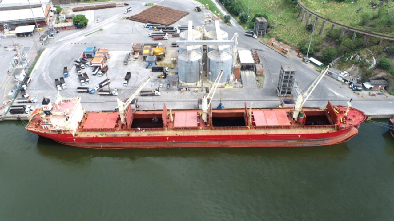 Porto de Vitória movimenta 750 mil t em janeiro