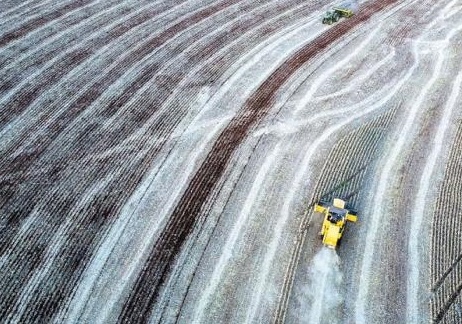 PIB se recupera do primeiro ano da pandemia