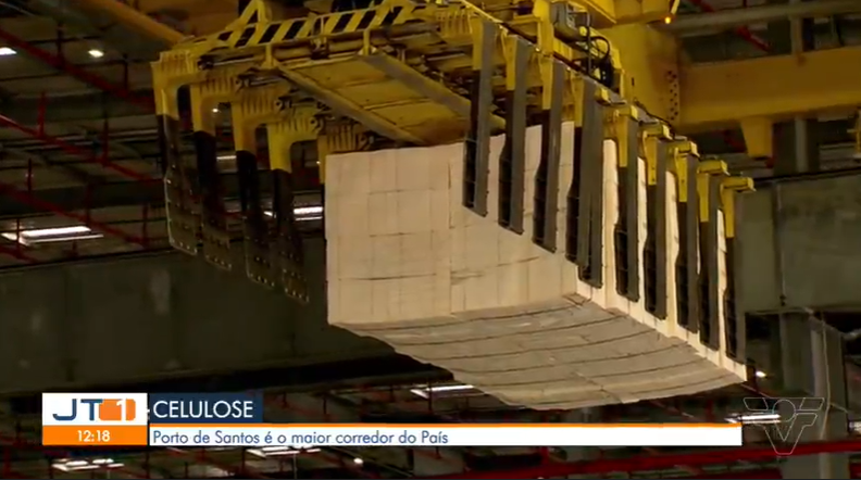 Porto de Santos é maior exportador de celulose do Brasil