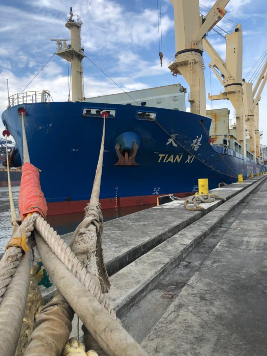 Segunda operação com carga de celulose no Porto de Itajaí